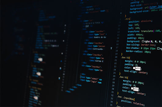 インドのテクノロジー産業:爆発的な成長とその多角的要因