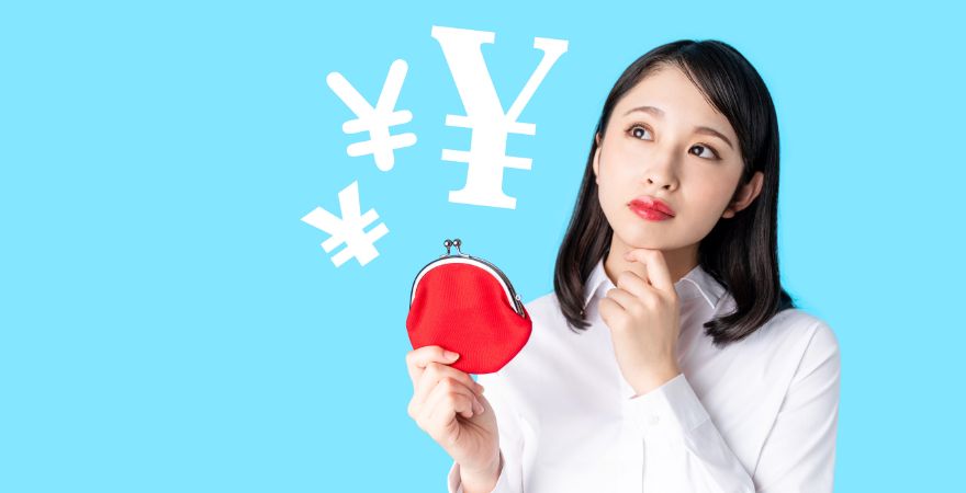 個人年金投資(iDeCo)とNISAの戦略を考える