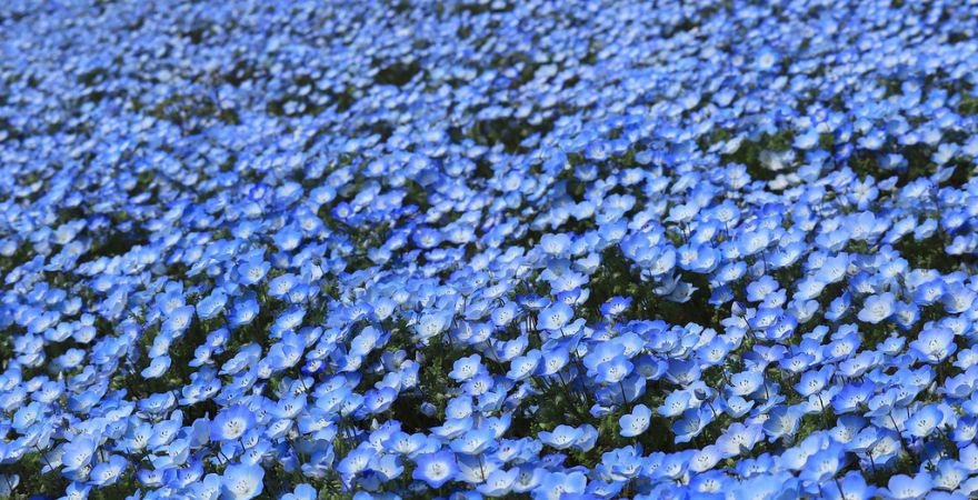 大阪で絶景を眺められる意外と知らない穴場を訪ねてみよう!