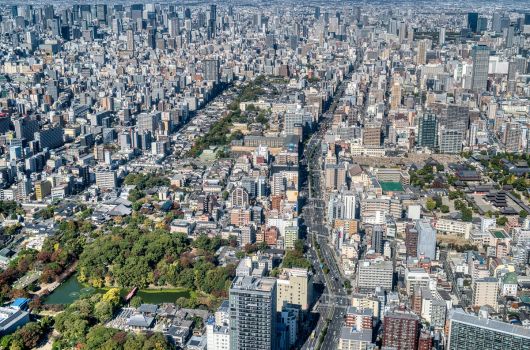 色とりどりな花が咲き誇る絶景を堪能できる「堺・緑のミュージアム ハーベストの丘」