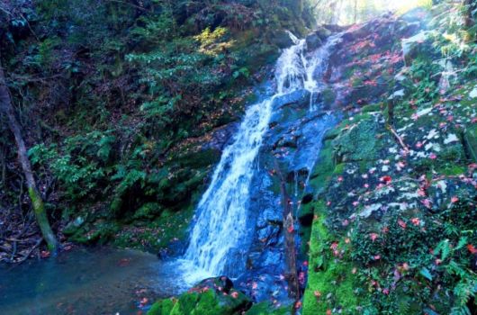 自然の絶景を眺めながらハイキングを楽しめる「摂津峡公園」
